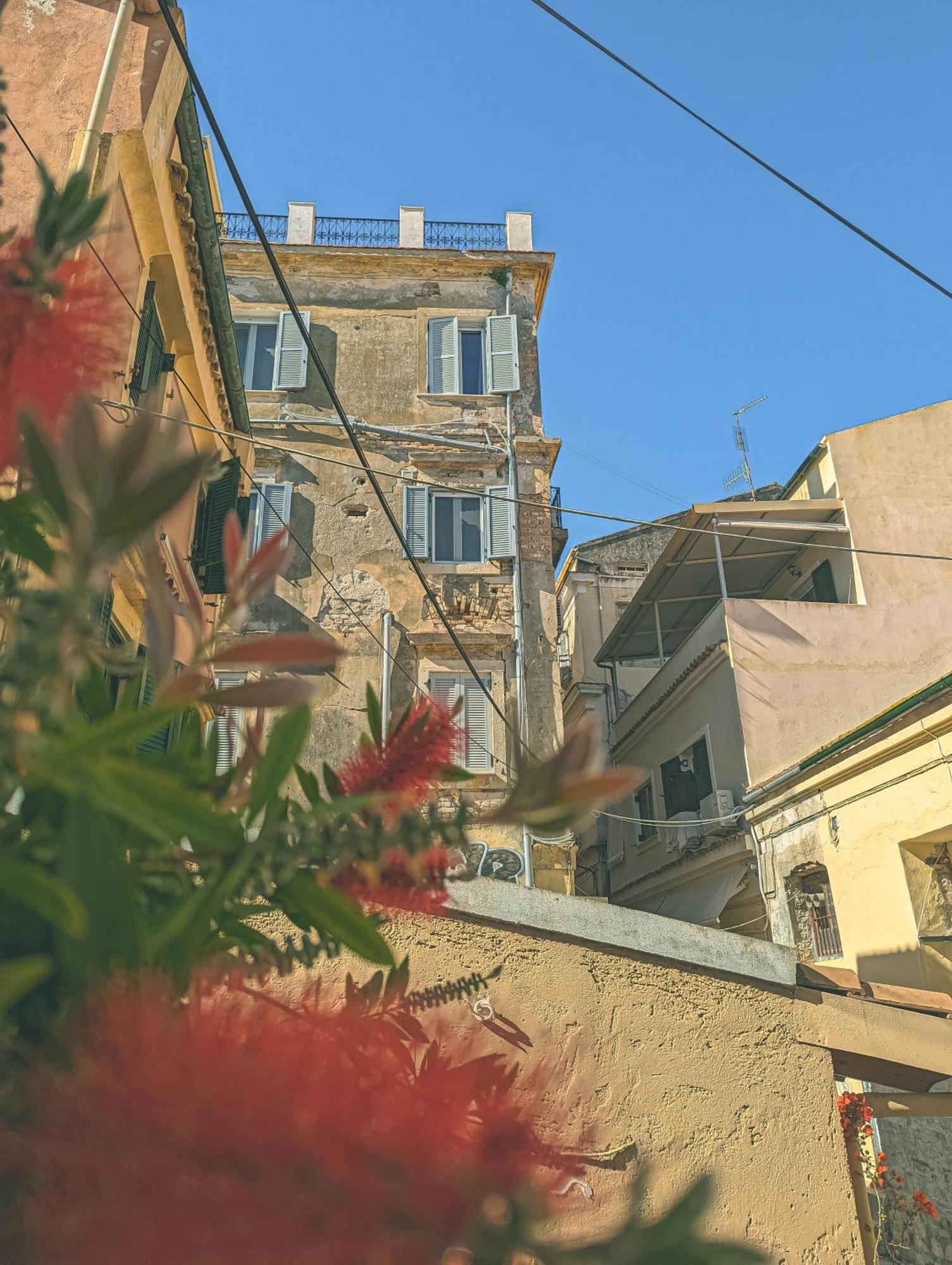 Ionian Pearl Apartments And Suites コルフ島 エクステリア 写真